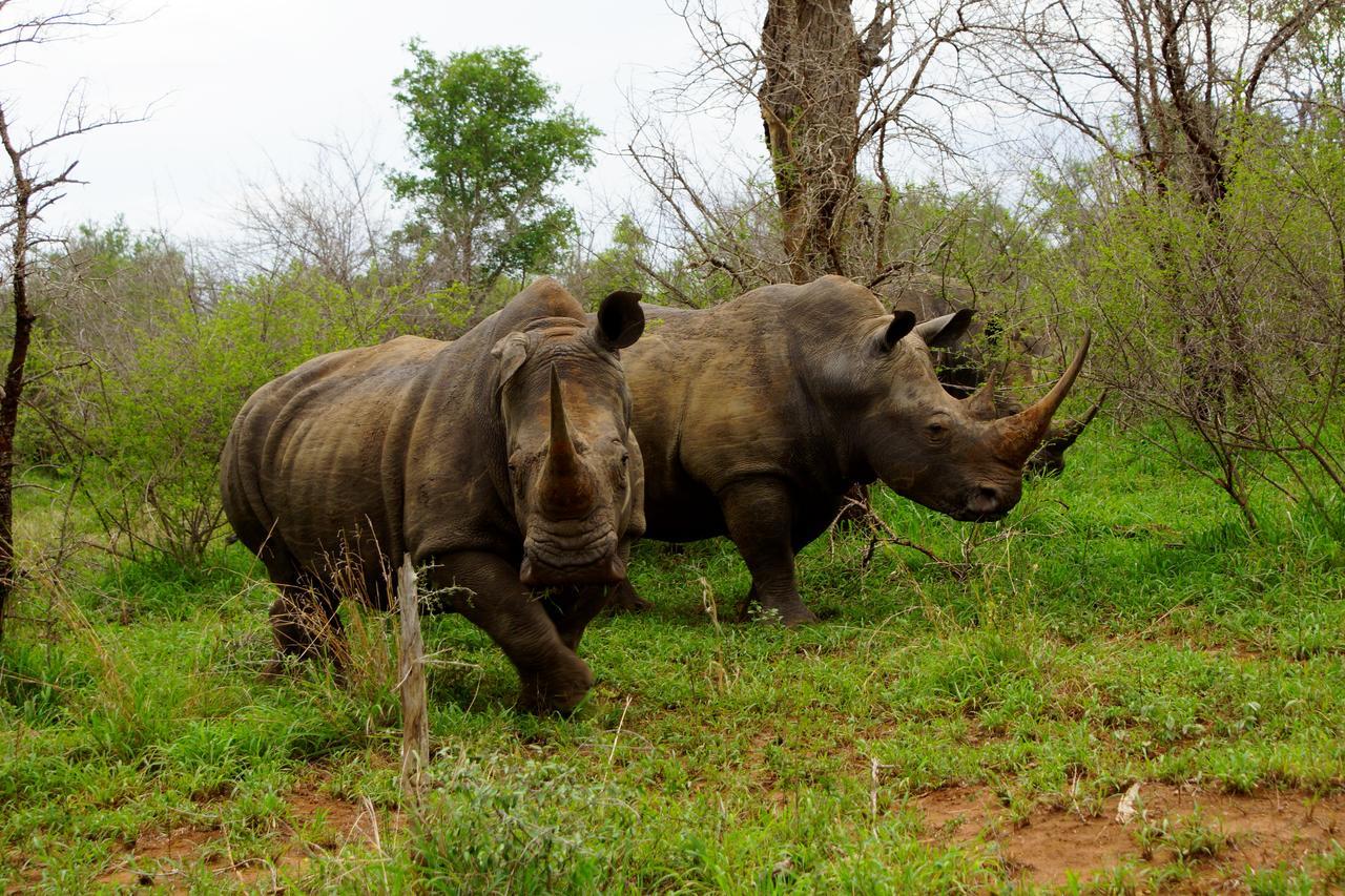 Villa Marloth Park Hippo House Exterior foto
